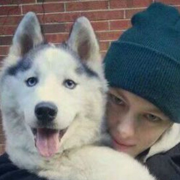 Meet your Posher, David - Picture 1 of 1